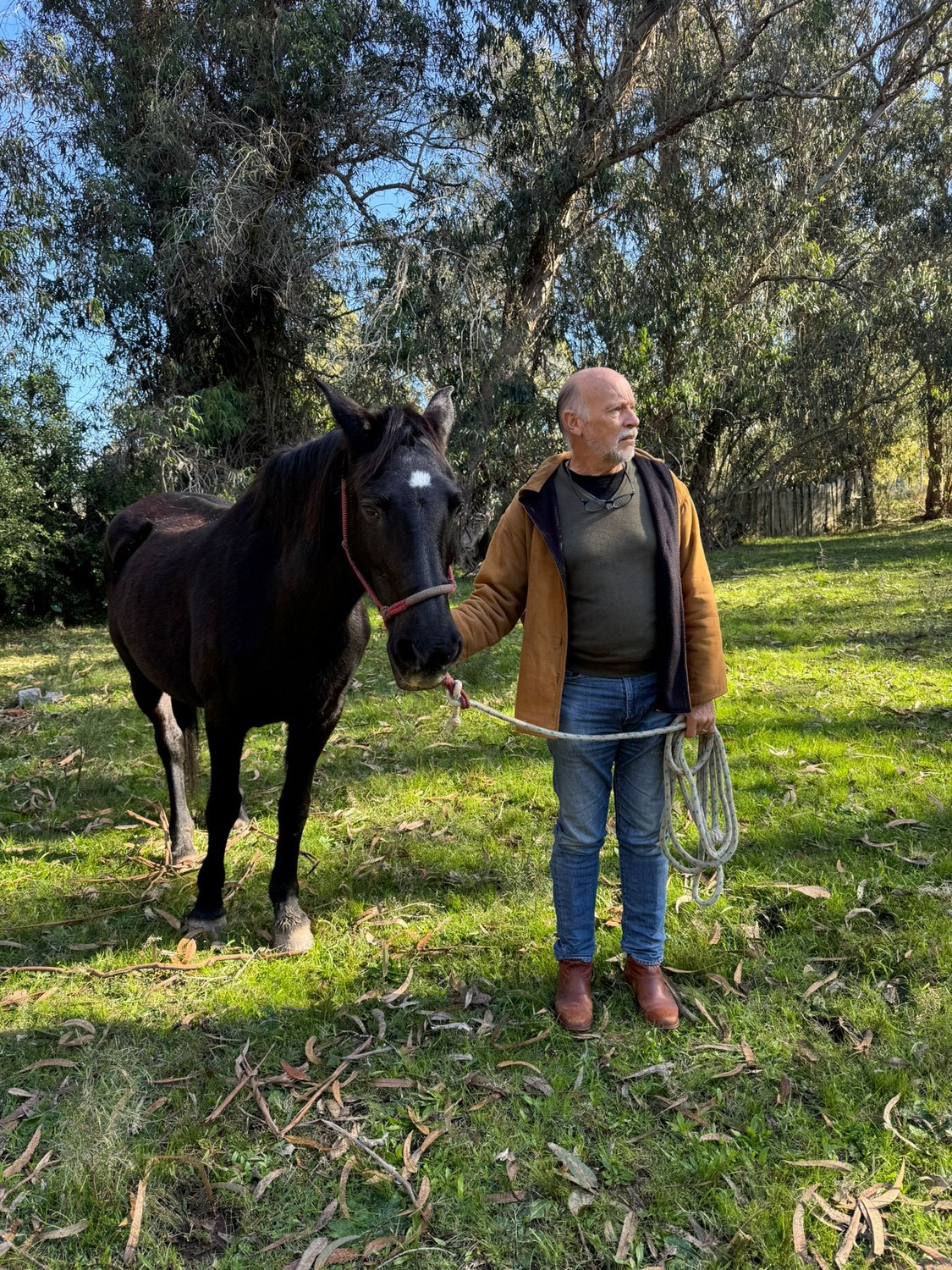John holding La Negra, a black mare, by a rope halter under eucalyptus trees