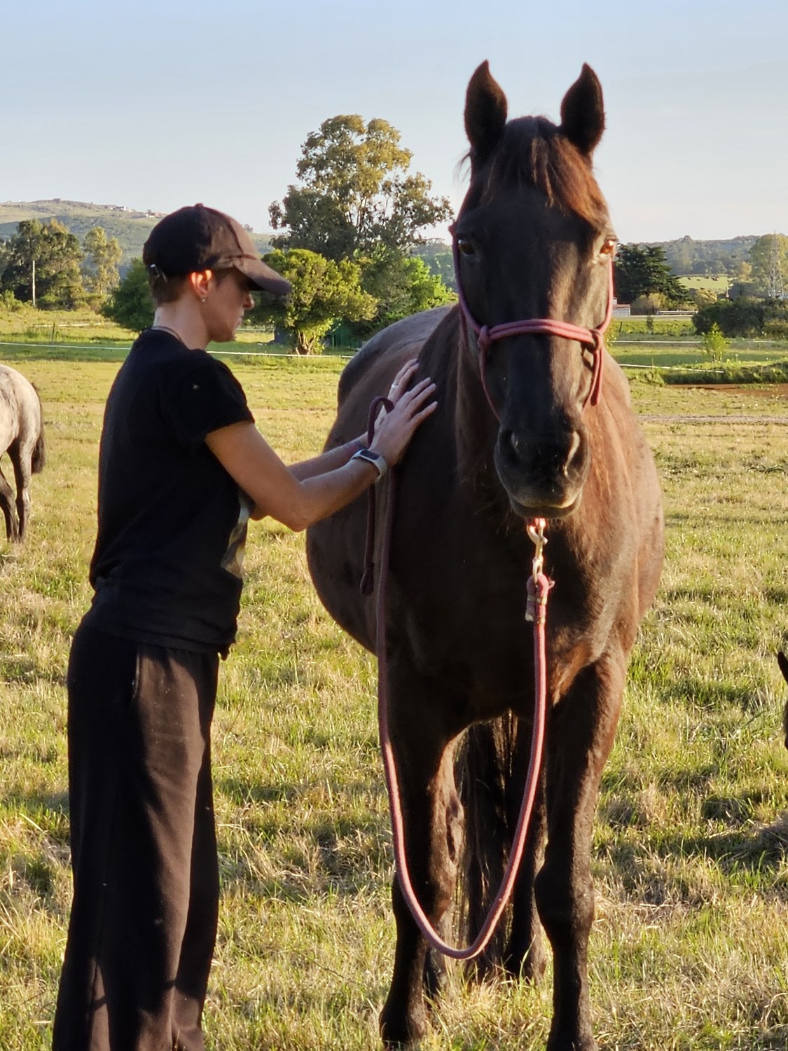 Lucía resting her hands on Baltasar, a dark bay horse, in an open field